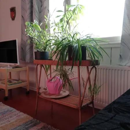 Kodit Tuulikinkatu Mikkeli Extérieur photo